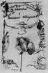 Титульный лист «Сказки о золотом петушке». 20 сентября 1834 года